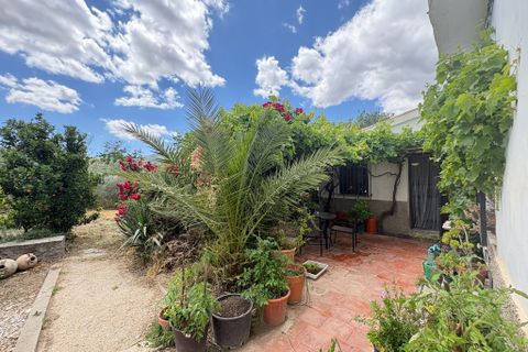Cortijo i Albanchez, Almeria, Albanchez - € 112 000 | Ref: Cortijo Rosalia - foto 8